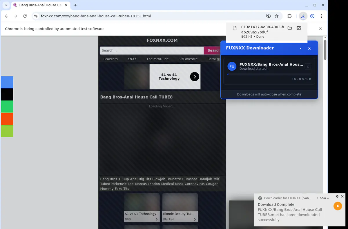 Fuxnxx Video Downloader browser extension screenshot 2