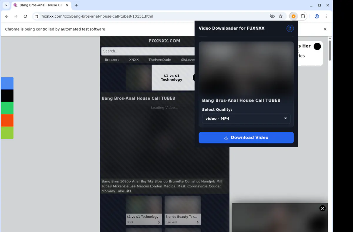 Fuxnxx Video Downloader browser extension screenshot 3